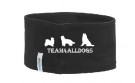 Pannebånd Team4alldogs thumbnail
